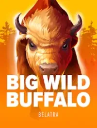 big wild buffalo logo